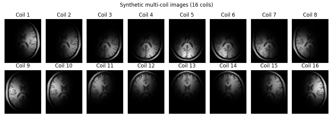 Synthetic multi-coil images (16 coils), Coil 1, Coil 2, Coil 3, Coil 4, Coil 5, Coil 6, Coil 7, Coil 8, Coil 9, Coil 10, Coil 11, Coil 12, Coil 13, Coil 14, Coil 15, Coil 16